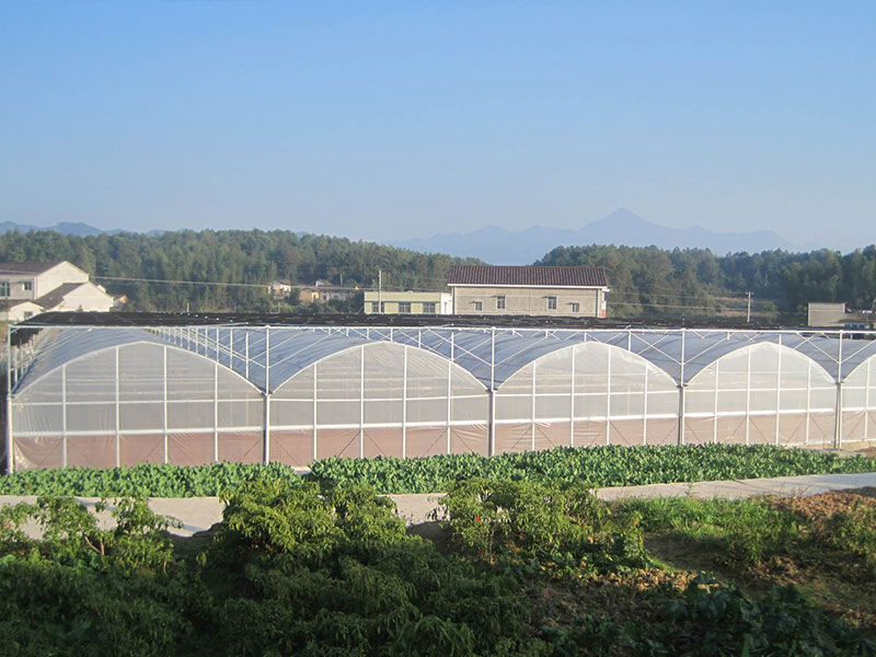 1674193282111673.jpg 3.jpg